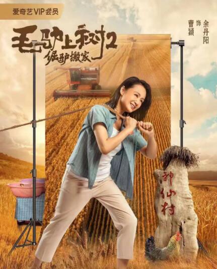 午夜精品久久久久久久久久久久久